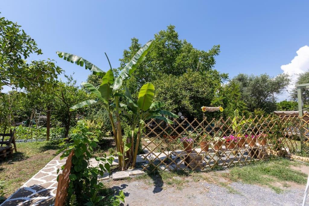 Bougainvillea House With Private Garden Kalamata Exterior photo